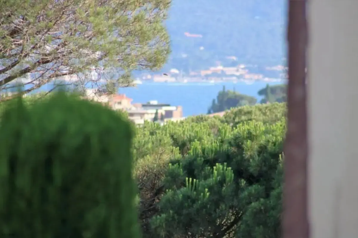 Les Pins Bleus A8 Sainte Maxime 7