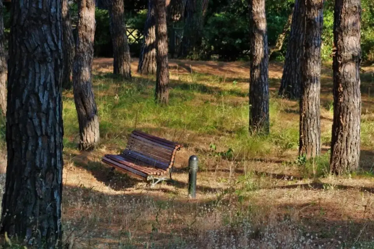Les Pins Bleus A8 Sainte Maxime 25