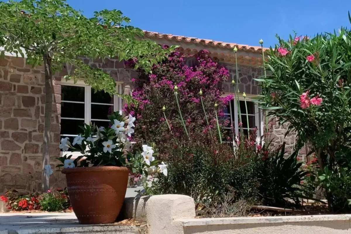 Mentine Les Issambres 5