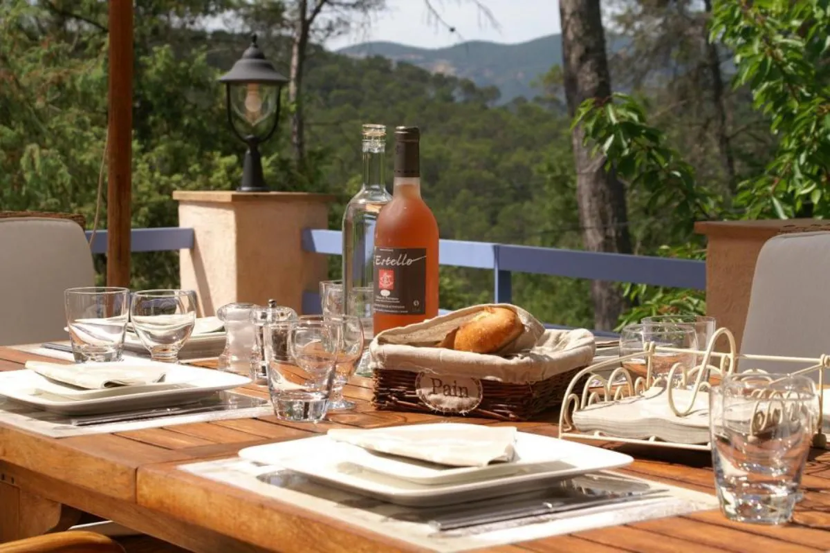 Wijnchateaus en domaines