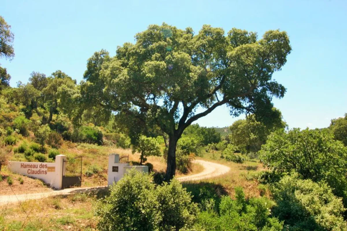 Claudins le plan de la tour 11